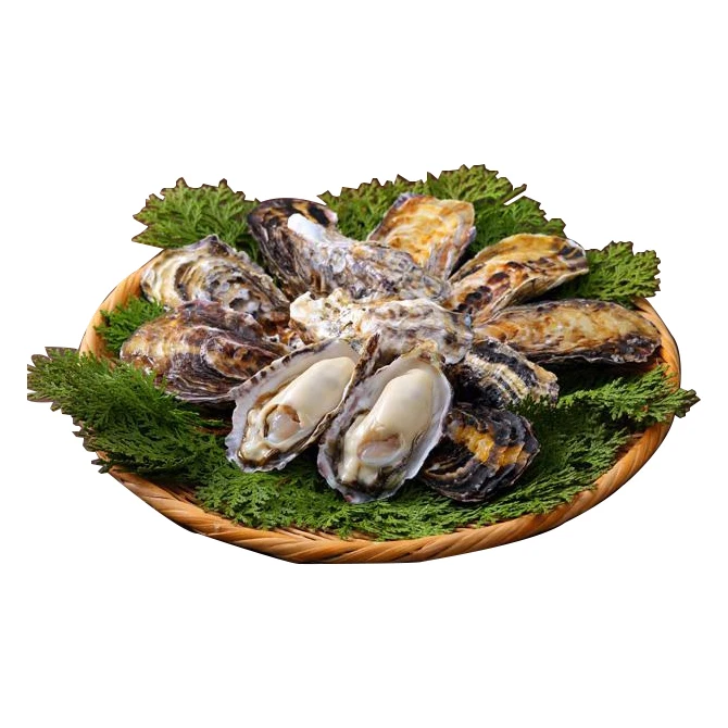 Японская замороженная