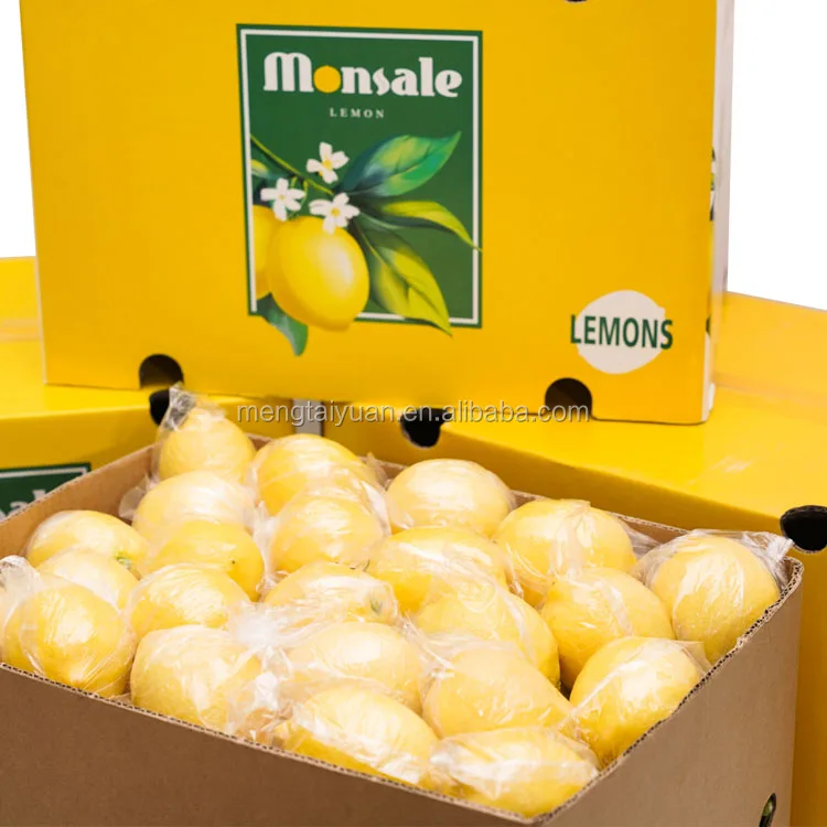 Top Quality Eurak New Season fresh organic fresh lemon