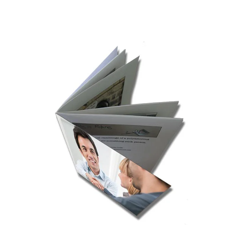 Индивидуальная буклет для печати, каталог, флаеры, брошюры, журнал