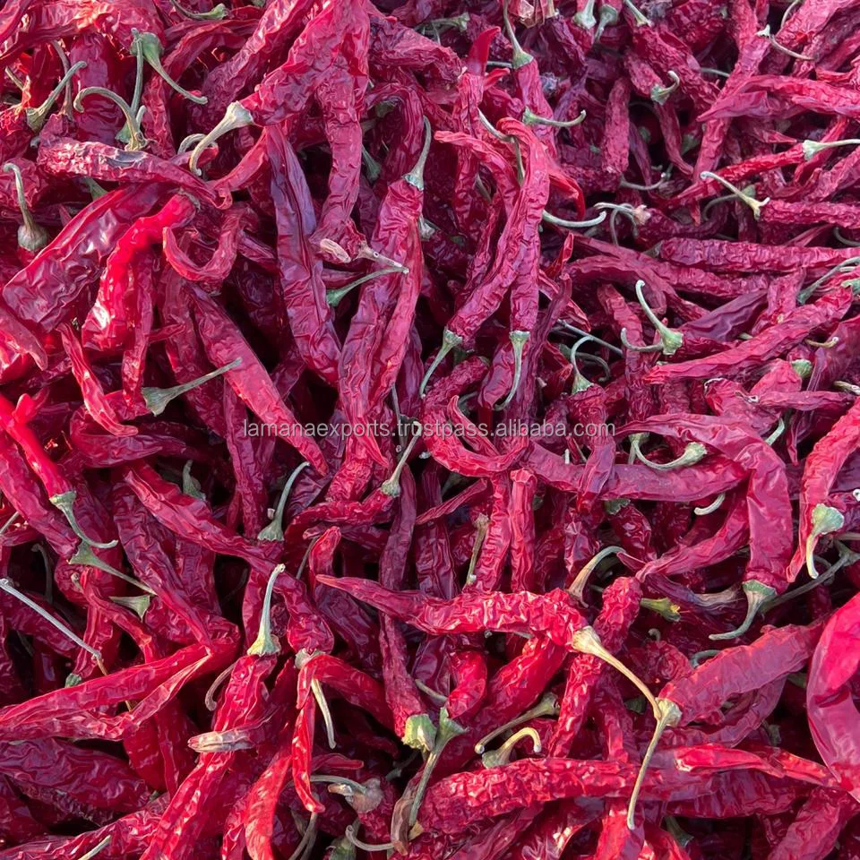 
Guntur Bright Dry Red Chilli Byadgi with Stem India Chilli Deluxe Quality 