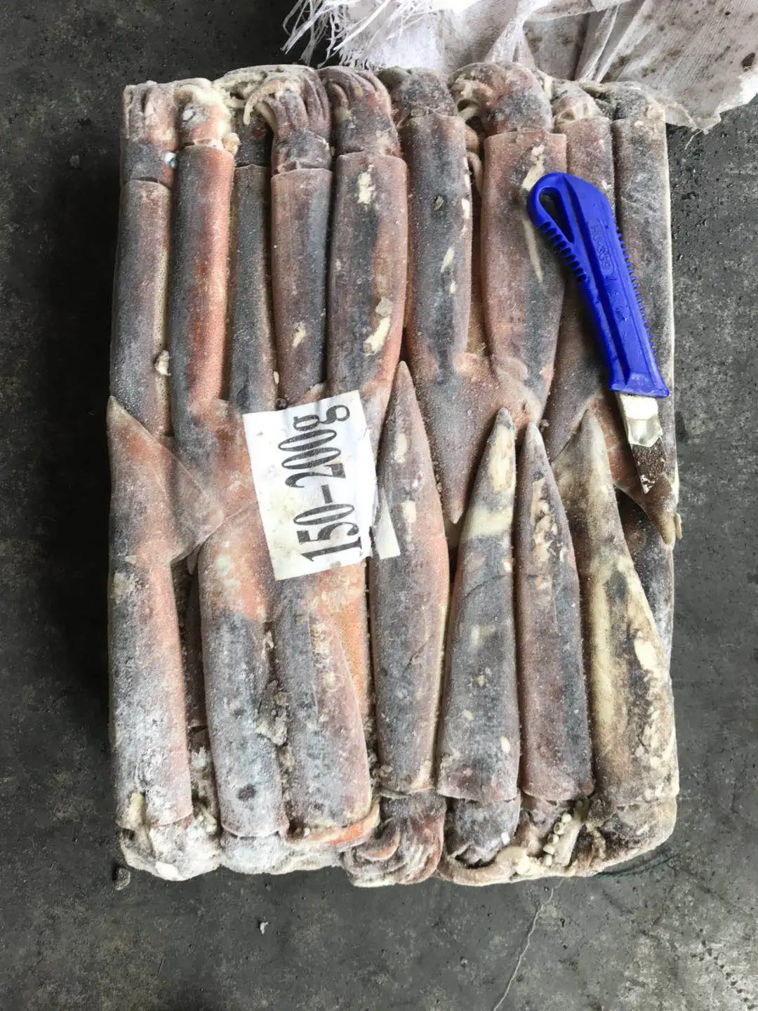 SANFENG SEAFOOD Frozen Argentine Squid illex squid