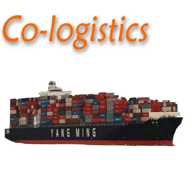 Sea Freight Services:FCL Door to Port Transportation from China to The United Arab Emirates with Cheap Price