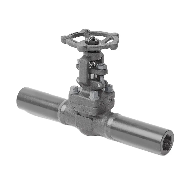 Выдвижной задвижной клапан 800LB из кованой стали