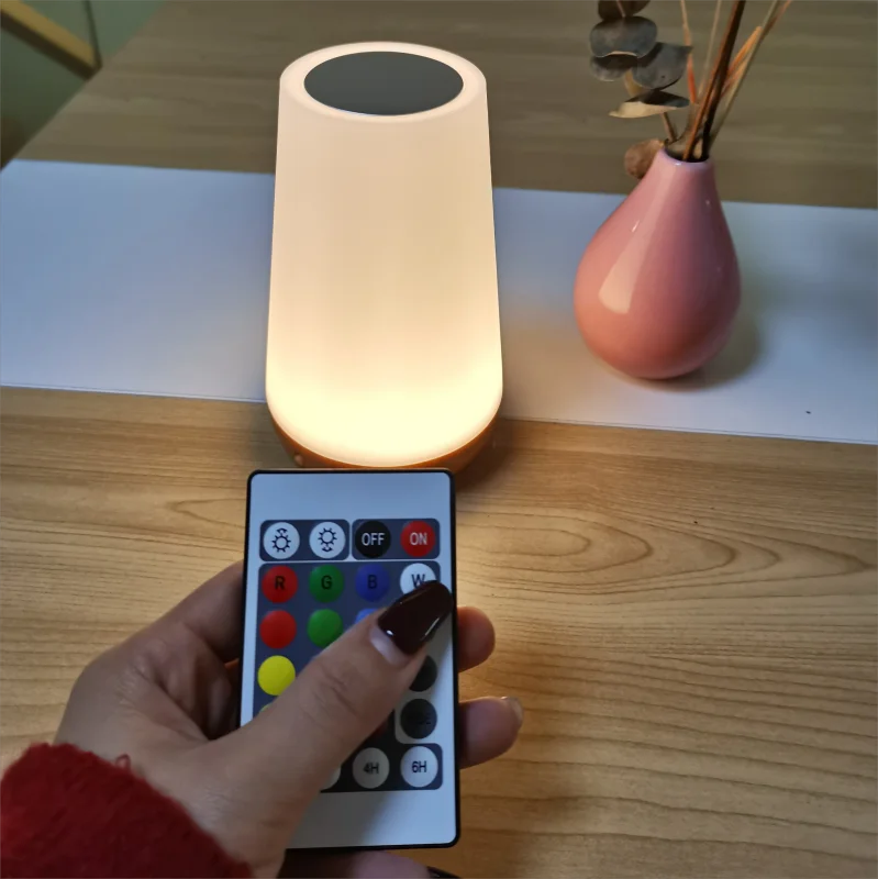 LED touch night light USB rechargeable bedside lamp remote control RGB dimmable color changing portable lamp with Auto Timer