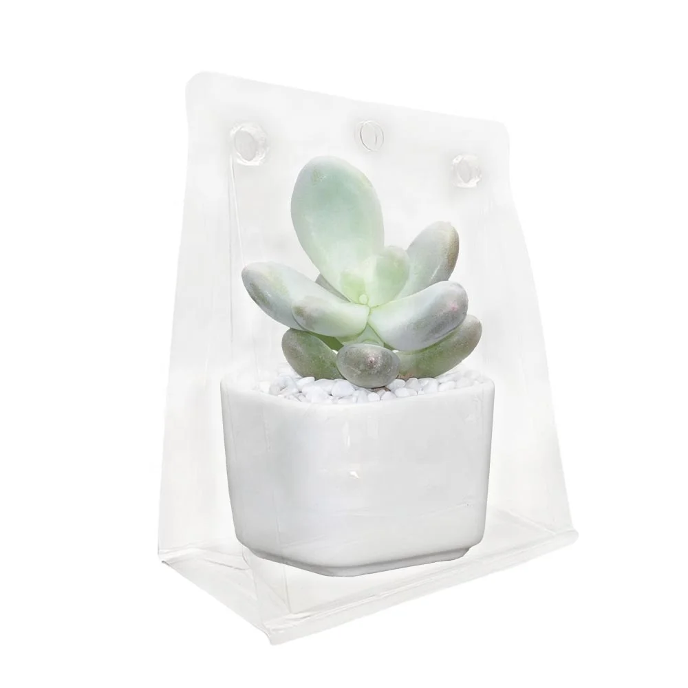 Customized Clear PET Plastic Clam Shell Blister Packaging for Plants