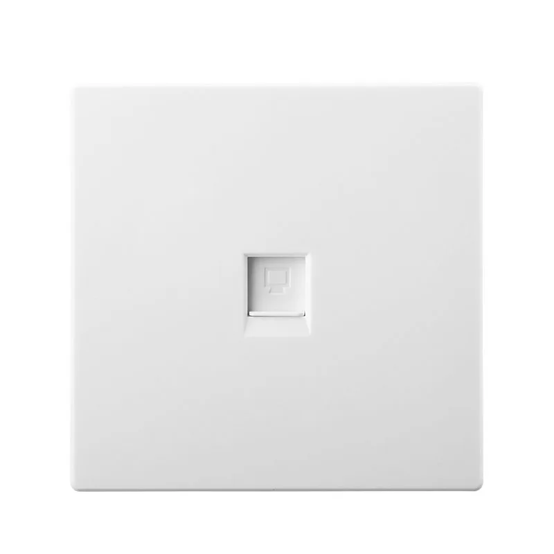 Single double port network panel single faceplate