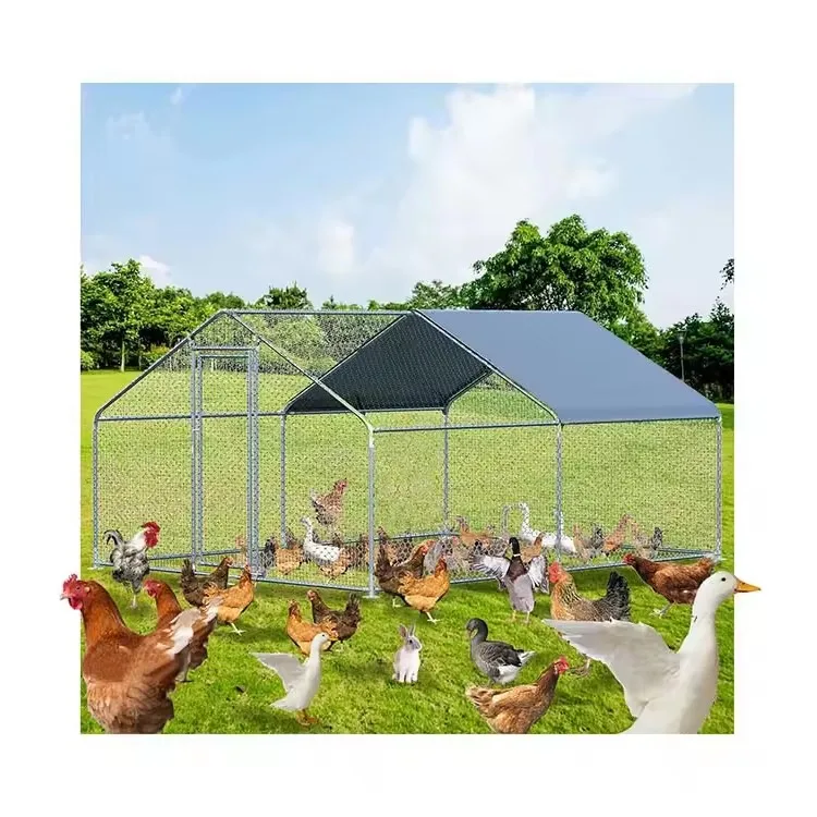 Secure Metal Chicken Coop for Peace of Mind