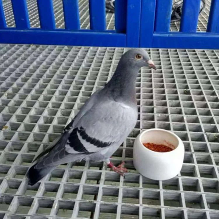 50mm*50mm mesh size plastic grating fiberglass floor grating for pigeon lofts