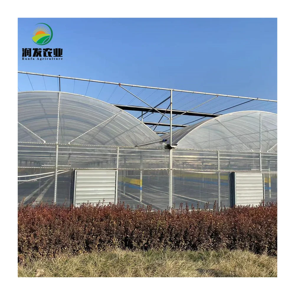 Agricultural Green House Metal Frame Multi-Span Film Greenhouse with Hydroponic and Automatic Irrigation System