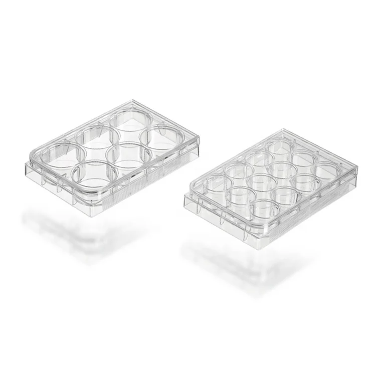 Individual pack Gamma sterile 6 well plate 96 well plate