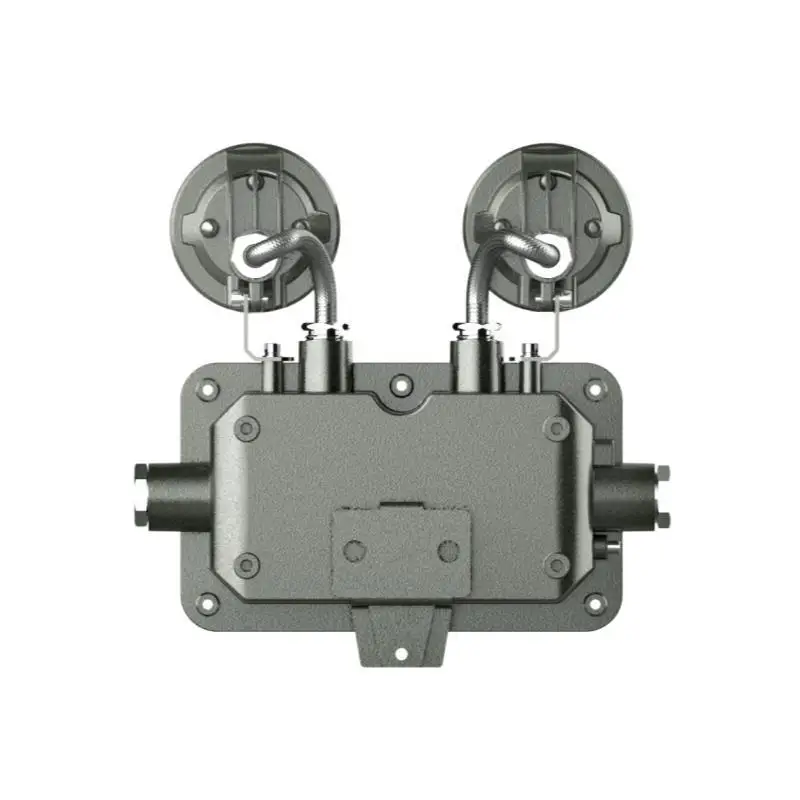 2*4w 2*3W Emergency Customizable Text Waterproof Double Head Explosion Proof Light For Oil And Gas Facilities