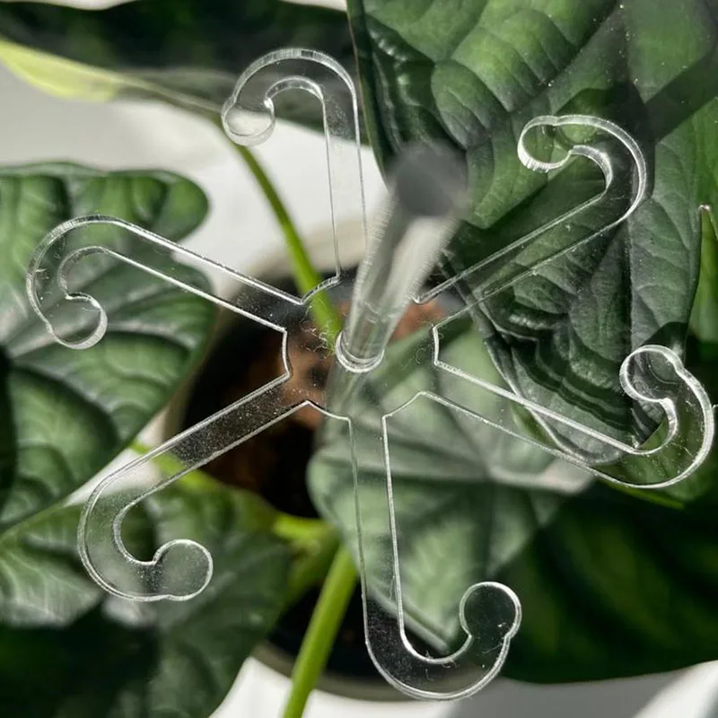 Acrylic Plant Stem (5).jpg