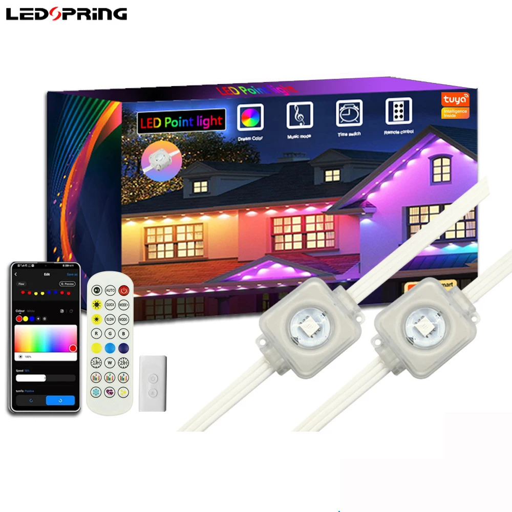 outdoor DIY Garden decor light LED RGBIC chips Blue--tooth wireless remote controller smart housing ambience decorating lamp