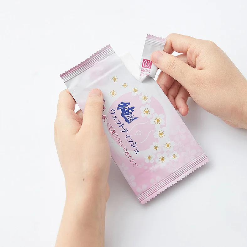 Wet Wipes Individually Packaged Household Wet Toilet Paper Sanitary Wipes Flushable Non-woven Disinfection Cleaning Toilet Wipes