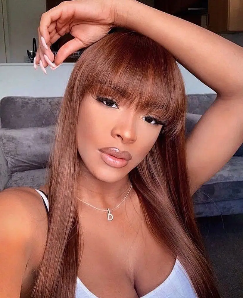 Raw Vietnamese Hair Super Double Drawn Bone Straight Lace Front Wigs Hight Quality Single Drawn Human Hair Wigs for Black Women