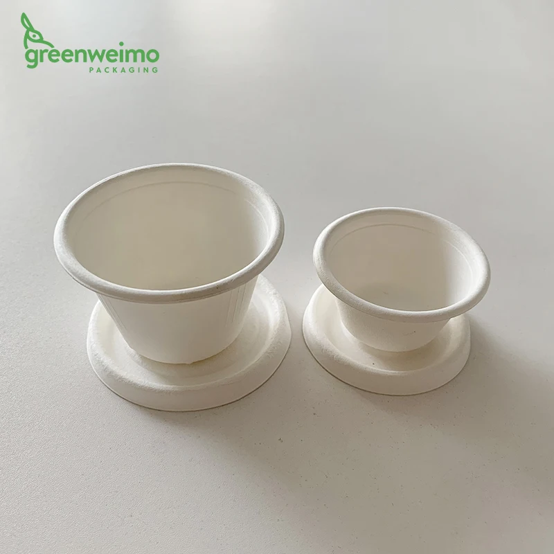 Disposable bagasse sugarcane pulp cup lid sugar cane bagasse ice cream cups and lids