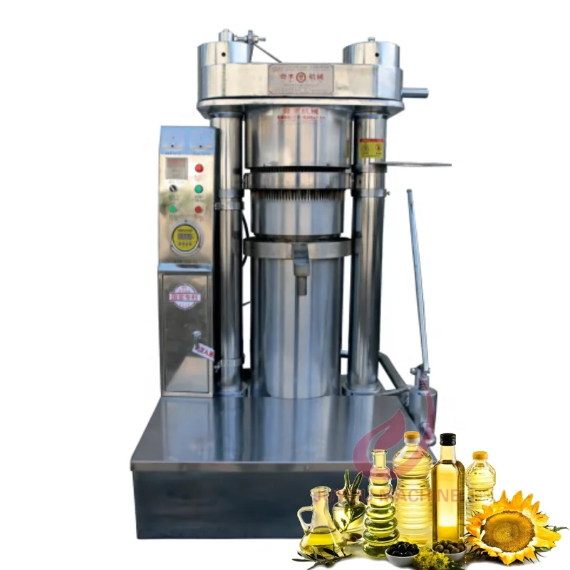 Palm Kernel Castor Avocado Moringa Seed Sunflower Cold Oil Press Machine Commercial small coconut oil extraction machine sale