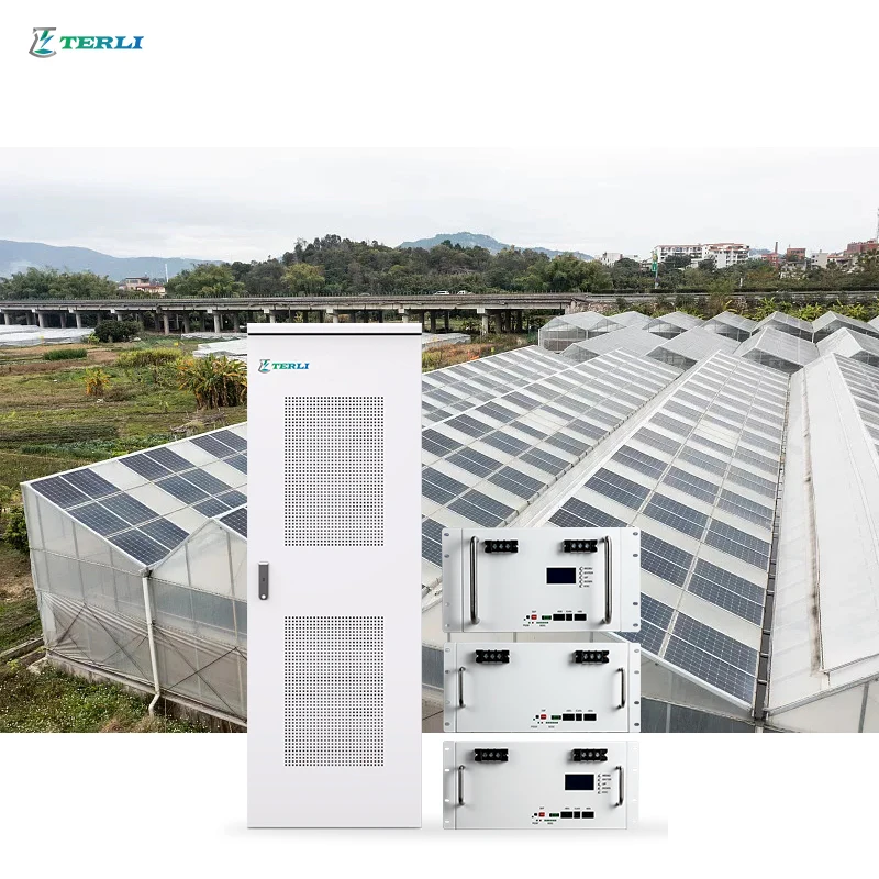 Terli Deep Cycle Long Life Lifepo4 Server Rack Battery 48v 100ah 200ah Lituium Ion Battery