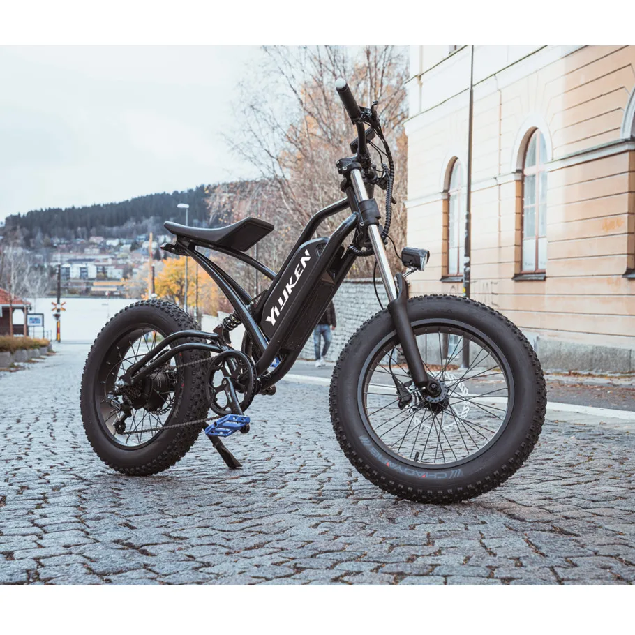 48V 500w 750w 1000w Power China Cheap Full Suspension Retro Vintage E Circle Ebike Dirt Mountain Fat Tire Bicycle Electric Bike