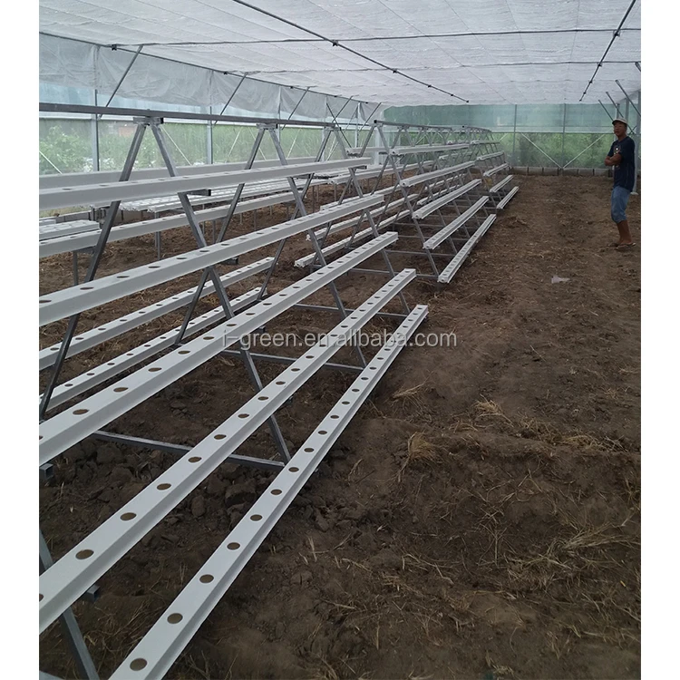 IGREEN Vertical Farming Hydroponic Tower Green Modular House Film Large Multi-span Plastic Greenhouse for Plants Single Layer