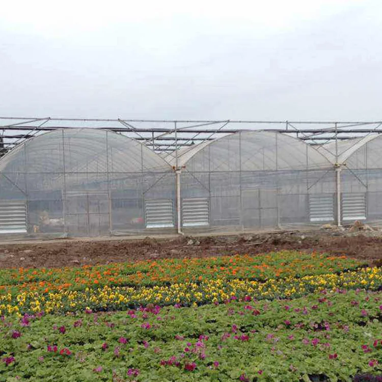 Professional environment controller cooling ventilation system plastic film multispan greenhouse for vegetables growing