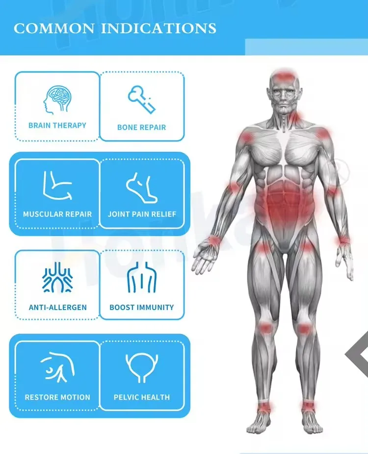 clinic use PMST LOOP Physio Magneto Magnetic Therapy Device Physio Magneto for Muscular Issue