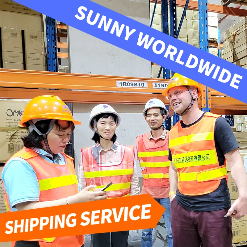 SWWLS  Sea Freight forwarder Shipping DDU DDP service from shenzhen to USA Kansas city