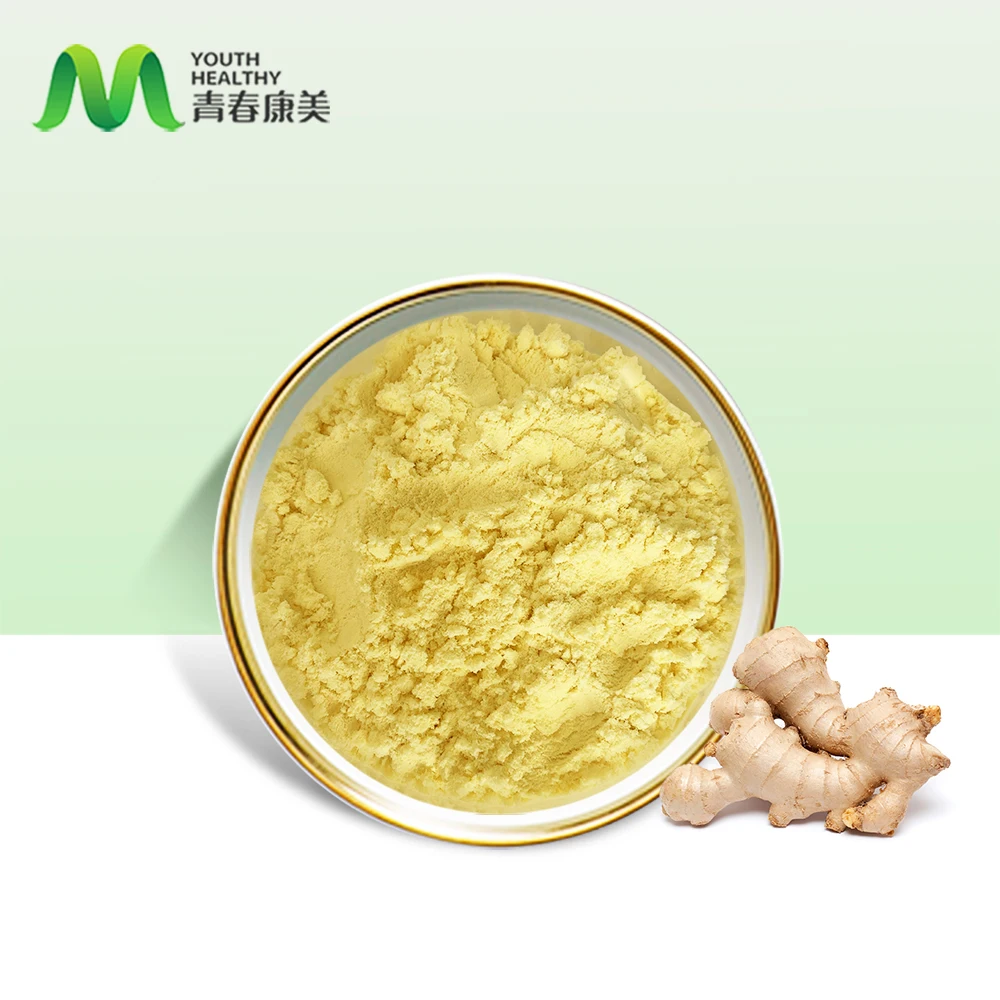 Manufacturer Supply Hot Selling Organic Ginger Powder
