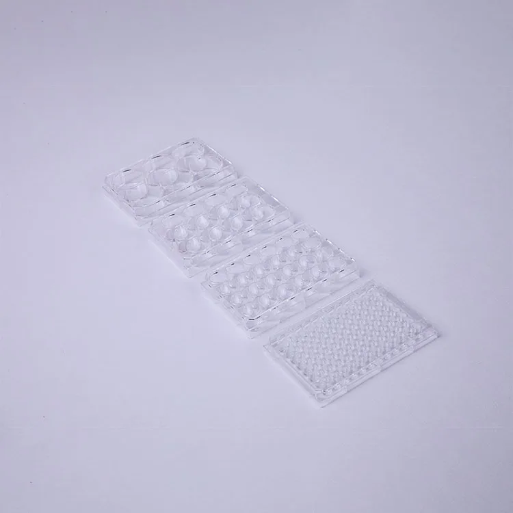 Transparent 6 12 48 96 Well Cell Plate Lab Supplies Disposable Plastic Sterile Microplate Cell Culture Plate