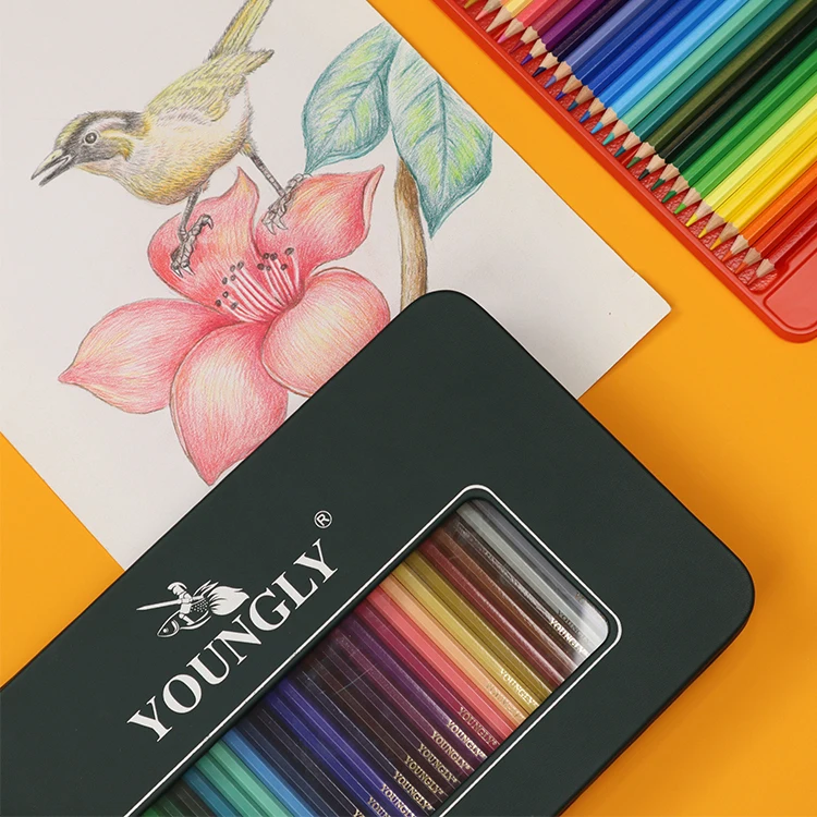 
High Sale Strong Performance Work Home Packing Products Pencil 100 Colored Pencil set 