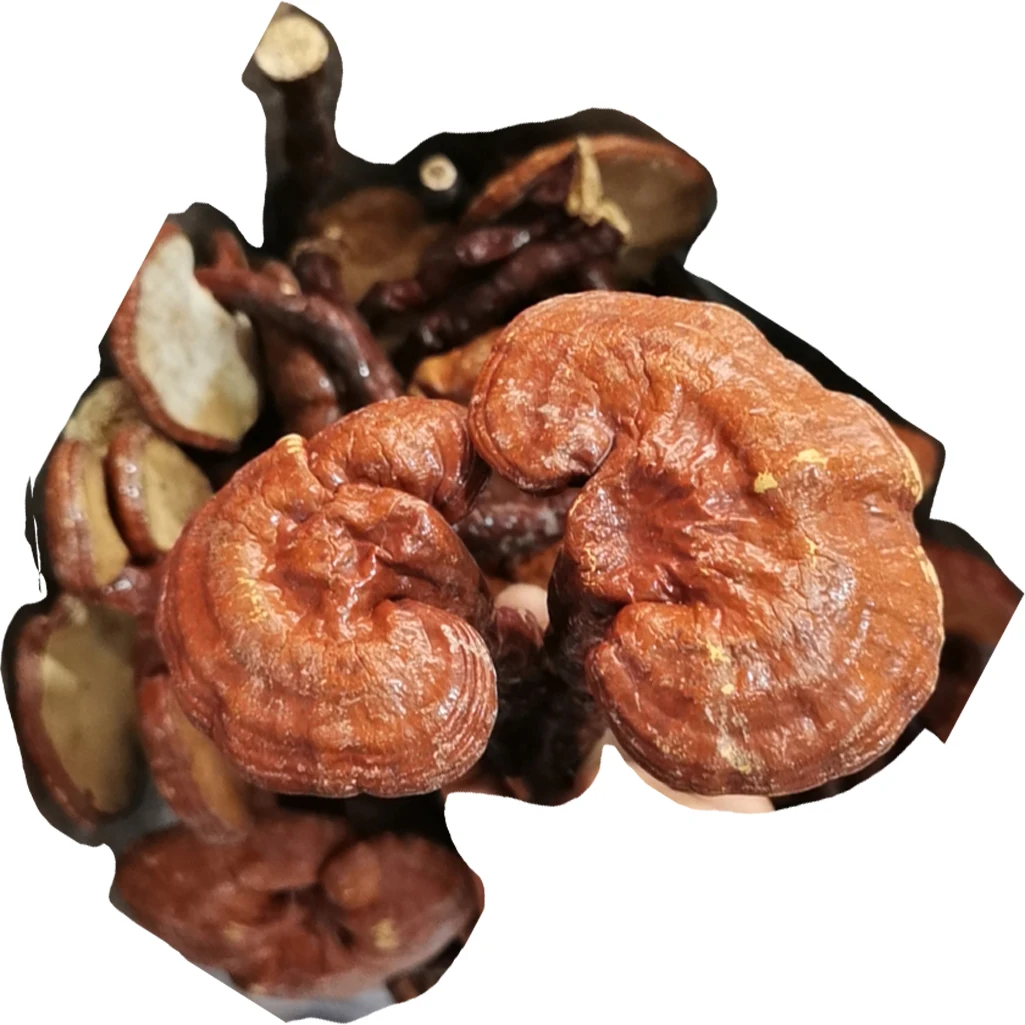 Traditional Chinese herbal medicine Red&Purple Ganoderma Lucidum Powder  Reishi mushroom lingzhi lingchi benefits