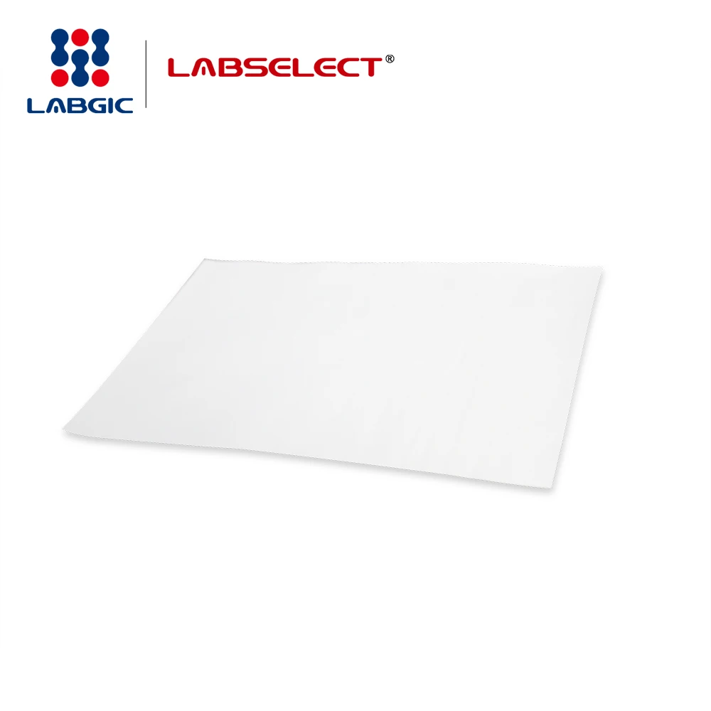 Hot sale Nylon Transfer Membrane, positively charged, 0.45um for Lab use