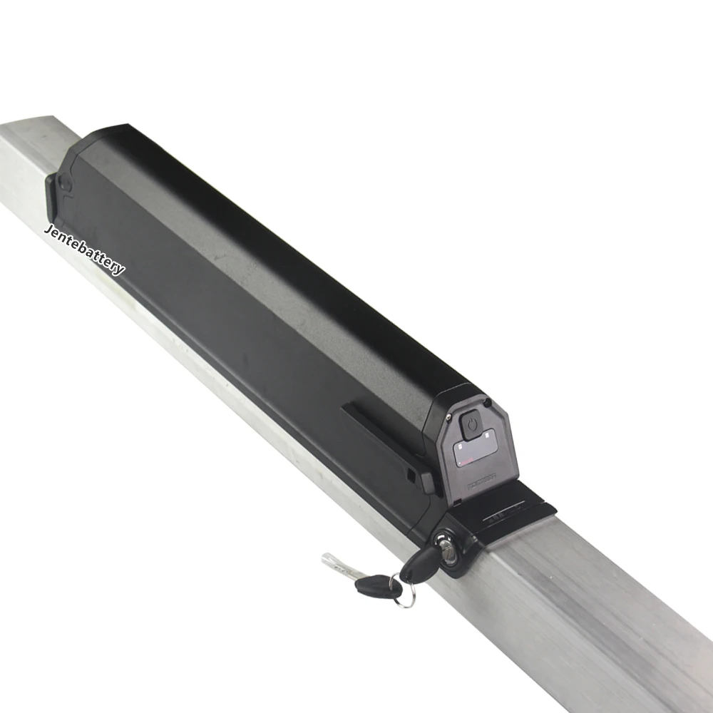 Electric bicycle 1000 w dual battery  48V 52V electric bike dual battery With power automatic switcher