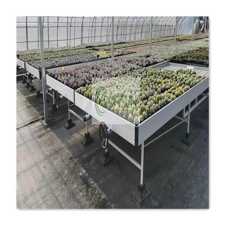 Customized greenhouse ABS tray hydroponic ebb and flow tray rolling benches