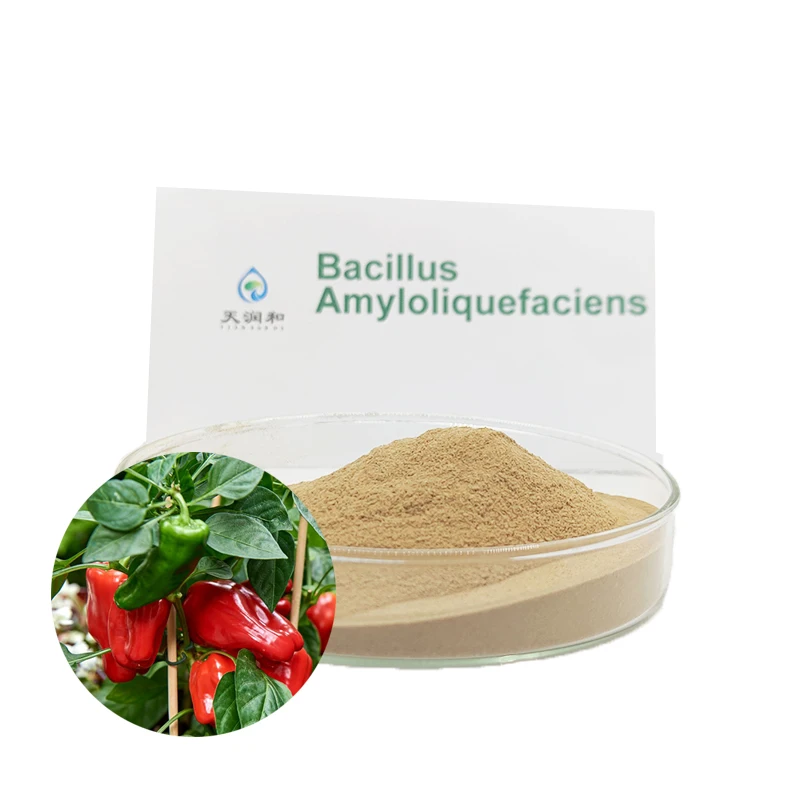pet kelp probiotic powder formula amyloliquefaciens