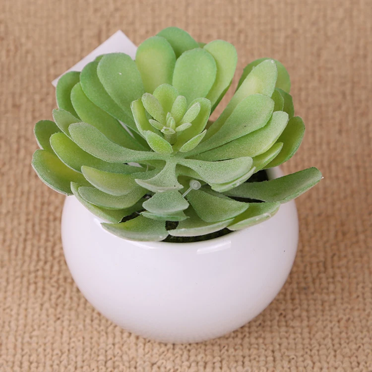 China Supplier ceramic artificial plant pot succulent wholesale artificial plants