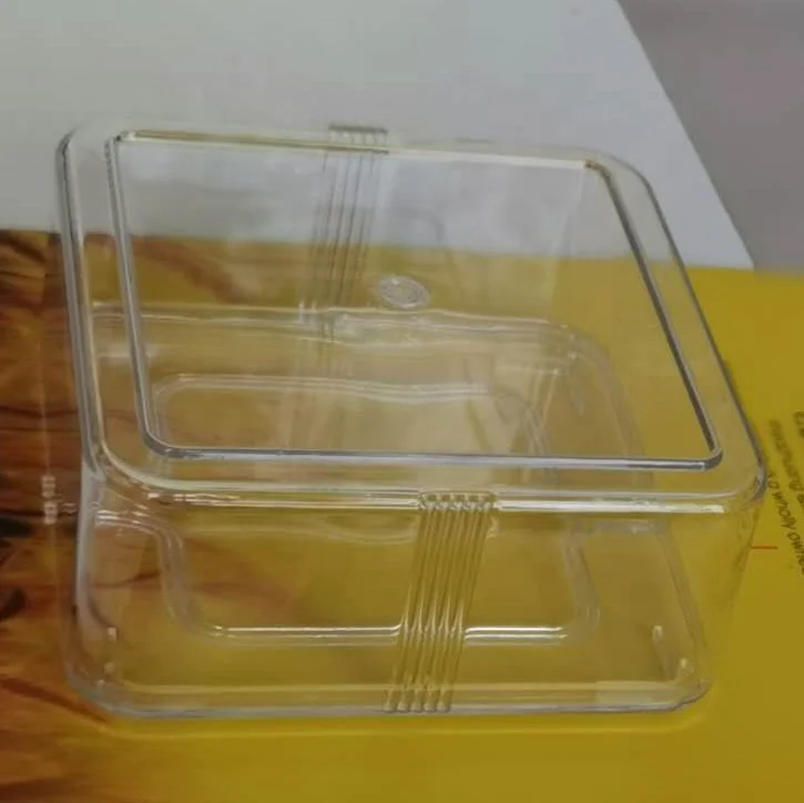 Plastic Seedling Germination Nursery Box Seedling Starter Germination Trays With Lid Cover