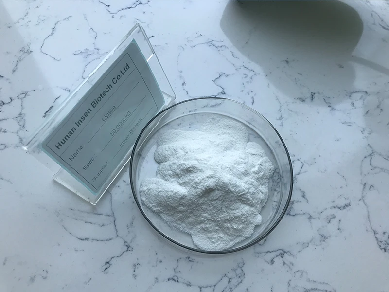100,000U/G Enzyme Activity Price Enzyme Lipase