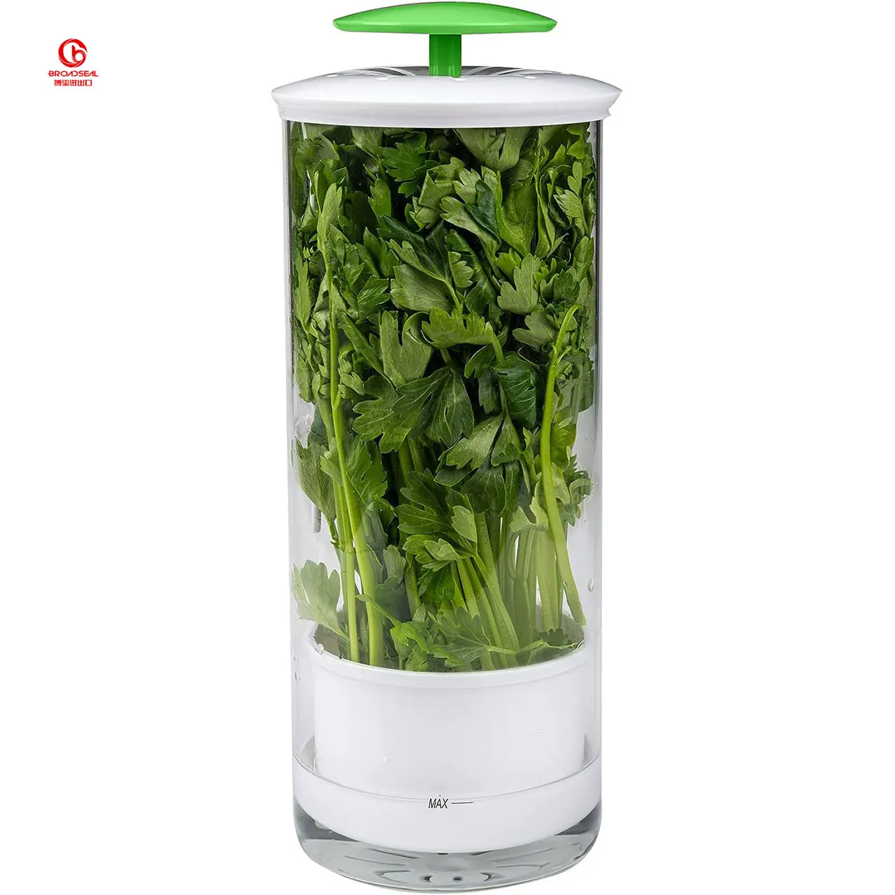 Extra Large Glass Herb Keeper for Greens Vegetables Food Grade Plastic Storage Container for Spice Tools Storage Organization