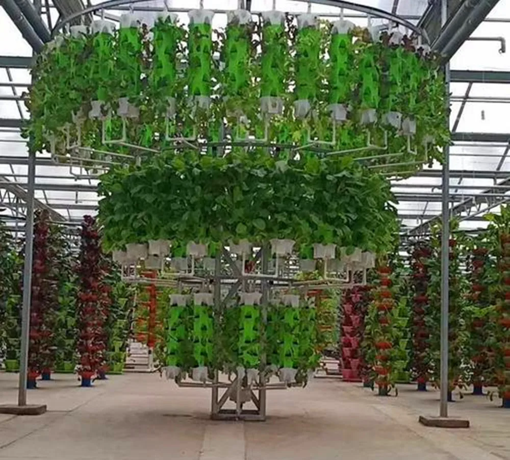 Modern Agricultural Vegetable Glass Greenhouse for Vegetables Lettuce/Chili/Mushroom