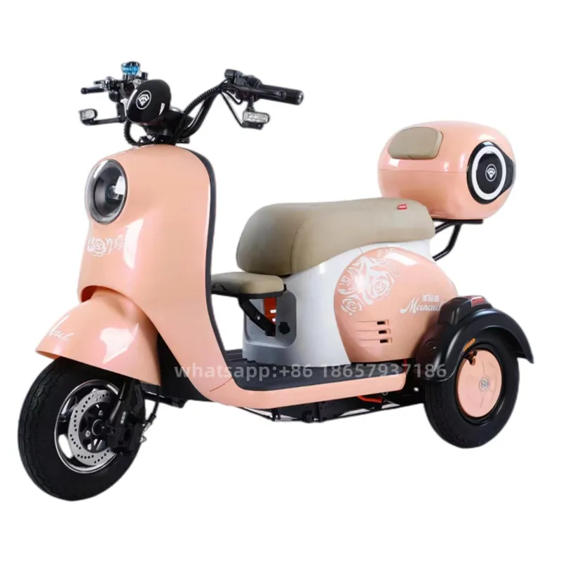 2.2m length electric mobility taxi tricycle passenger electric tricycle with roof