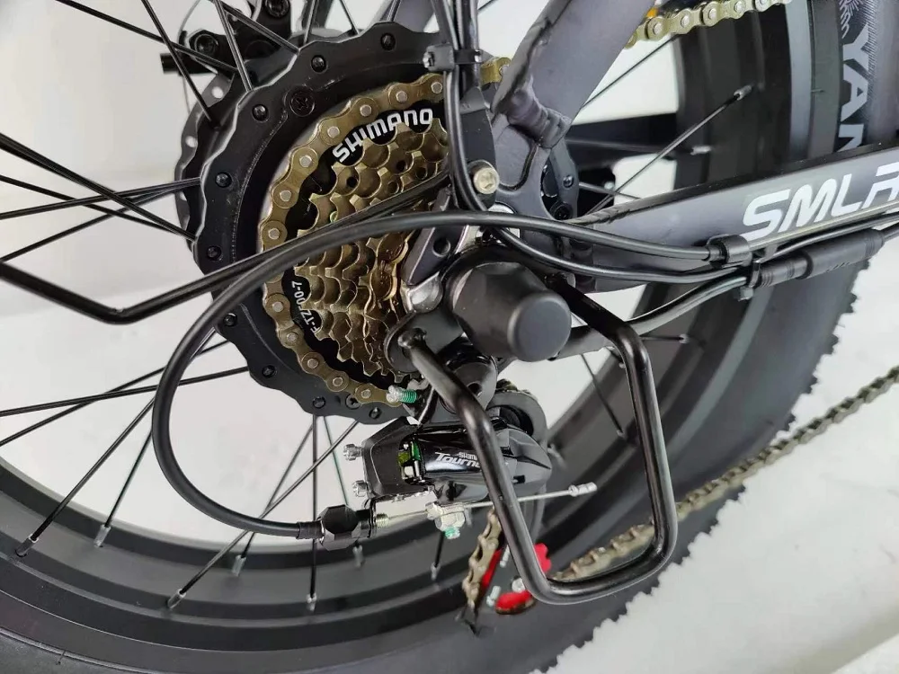 2023 City Ebike 1000w 48v 20 Inch Lithium Battery Boombike electric bicycle e bicycle folding Ebike