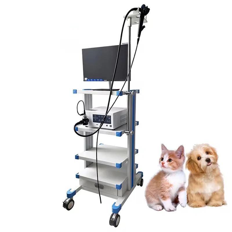 Leshypet гибкое эндоскопическое колоноскопическое оборудование и портативный гастроскоп эндоскоп