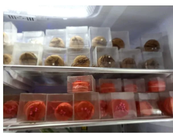 New product custom clear cake box square plastic PET clear box packaging macarron gift boxes transparentes