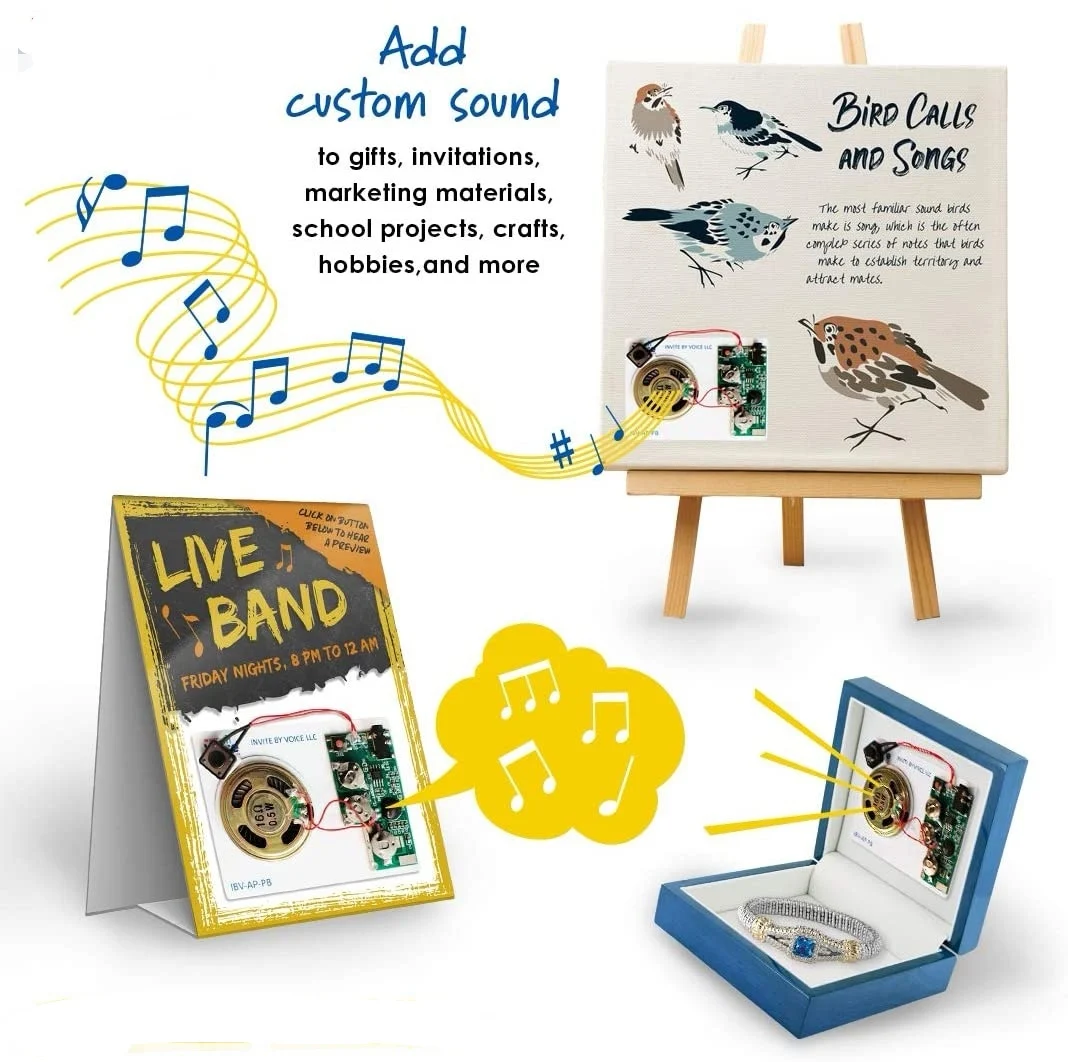 sound recording module (3).jpg