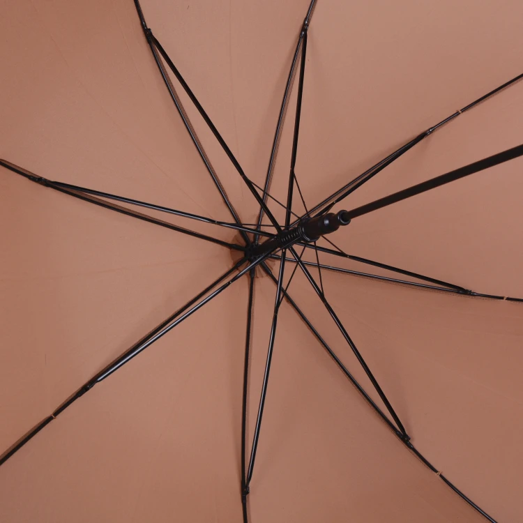 Korea umbrella Fashionable auto open umbrella fancy handle for ladies