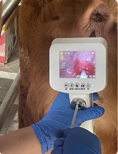 Artificial Insemination Gun Instrument Cow Visual Sperm AI Gun