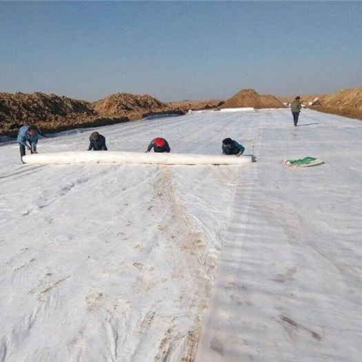 PET PP Long Fiber Short Fiber Geotextile for Landfill Project in the Philippines