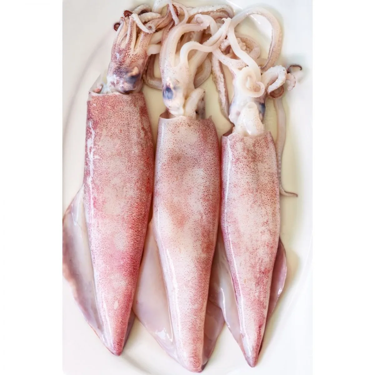  Пищевая продукция Shandong Ocean новый сезон высококачественный набивной кальмар полностью остекленный