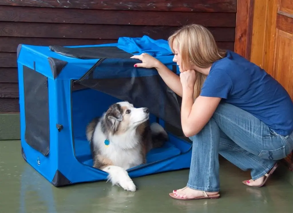 Deluxe Pet Carriers Deluxe Portable Soft Crate for cats and dogs up to 30-pounds